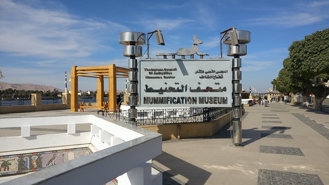 متحف التحنيط